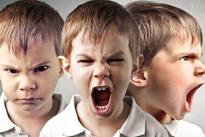 Transtorno De Conduta Infantil E A Legislação Brasileira